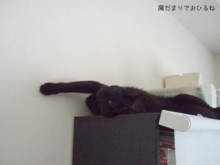 c0132438_22424373.jpg