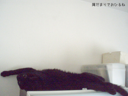 c0132438_22431076.jpg