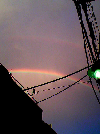 b0137240_15551632.jpg