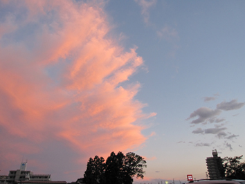 a0121941_1991460.jpg