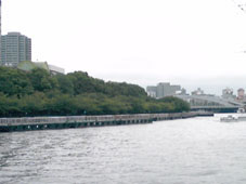 a0137142_1752023.jpg
