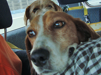 c0086746_00941.jpg