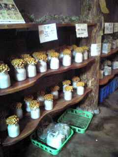 c0179348_2222384.jpg