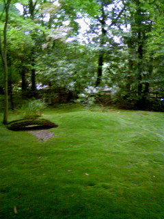 d0103548_19393360.jpg