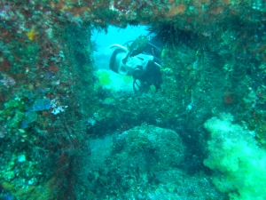 d0076952_1221123.jpg