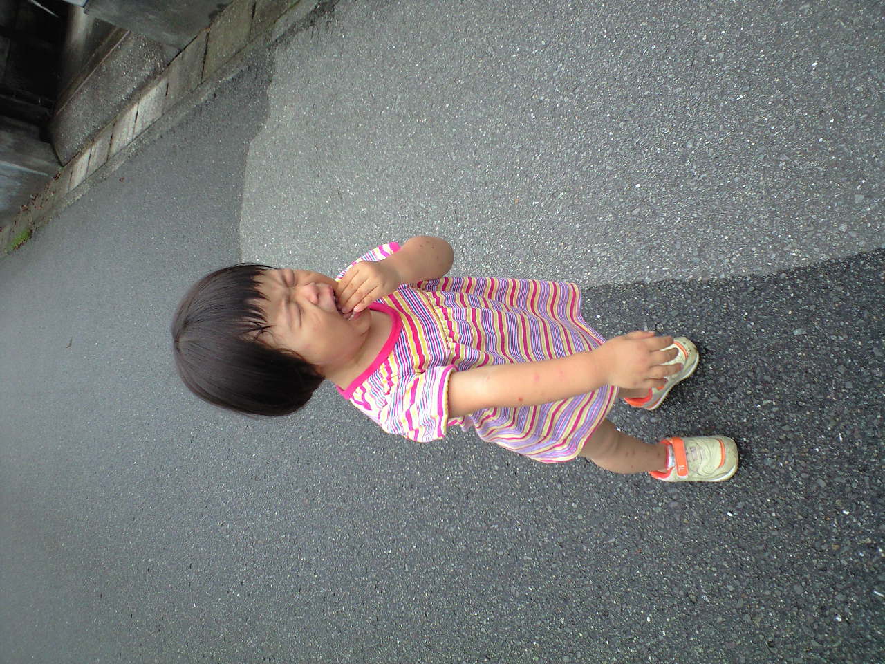 d0114253_1812493.jpg