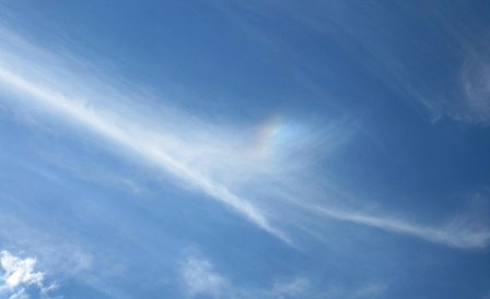 b0173754_1133259.jpg