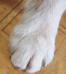 c0097558_1835537.jpg