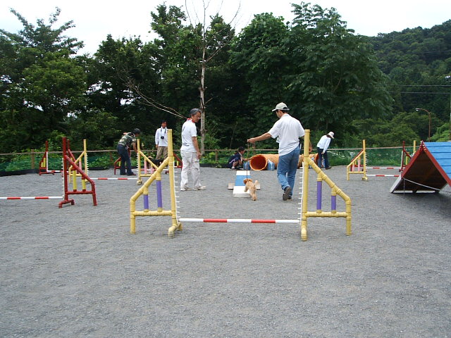 e0125264_20433368.jpg