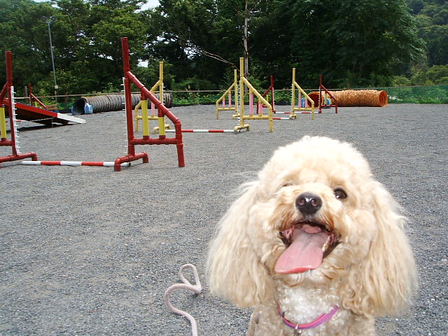 e0125264_20451772.jpg