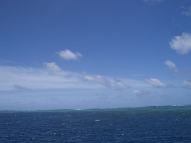 b0138768_1750185.jpg