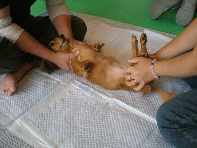 c0138069_1412814.jpg