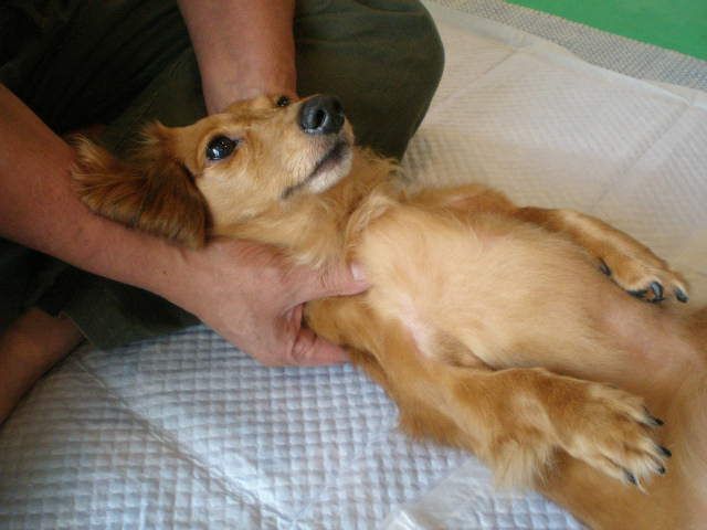 c0138069_1414350.jpg