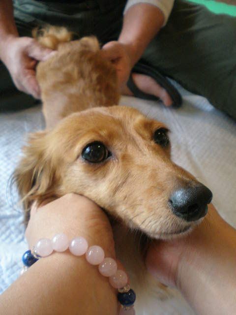 c0138069_1421827.jpg