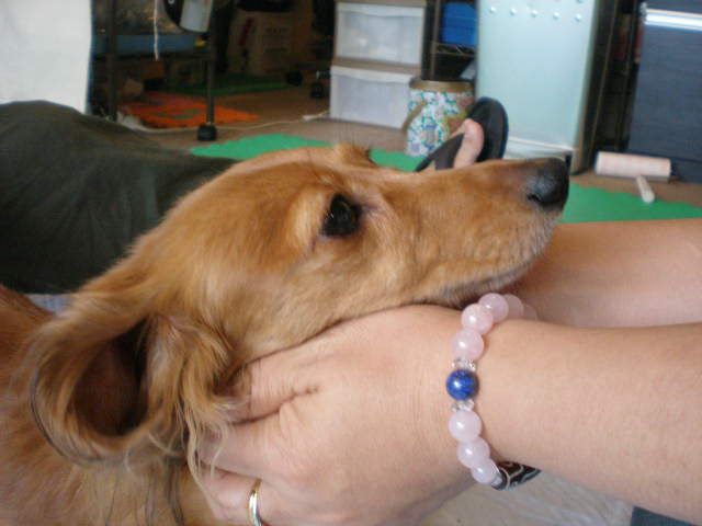 c0138069_142797.jpg