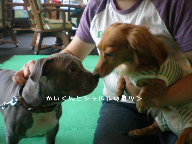 c0138069_1431223.jpg