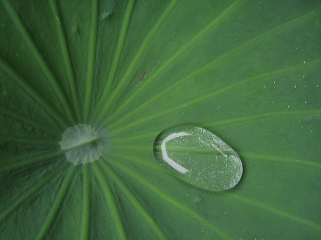e0114371_23112357.jpg