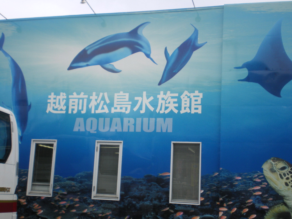 f0107072_22511596.jpg
