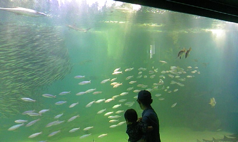 f0107072_2335631.jpg