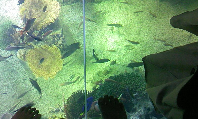 f0107072_2375793.jpg