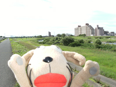 c0158573_11392258.jpg