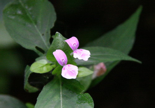 f0181173_15374550.jpg