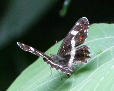 f0181173_15455286.jpg