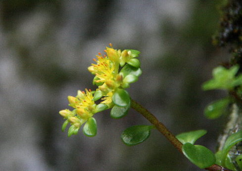 f0181173_1548128.jpg