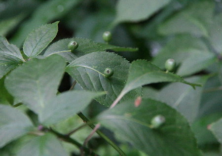f0181173_22552294.jpg