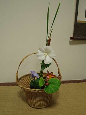 e0060374_2346423.jpg