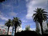 f0061674_1284761.jpg