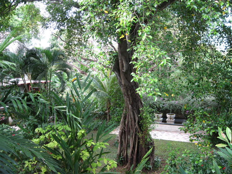 b0174079_23473437.jpg