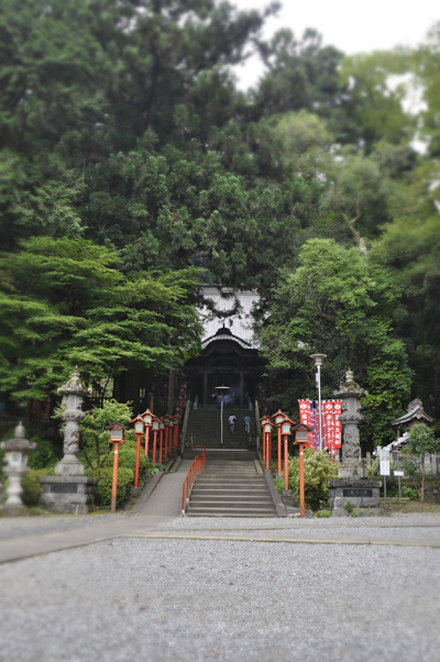 c0187782_114351.jpg
