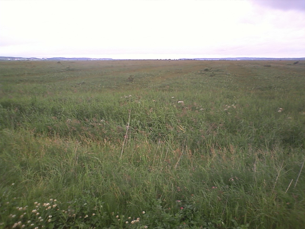b0127783_21195739.jpg
