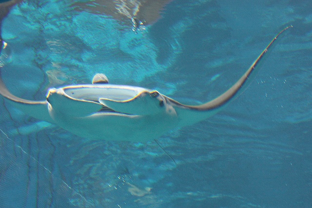c0196588_2340337.jpg