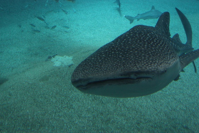 c0196588_23463336.jpg