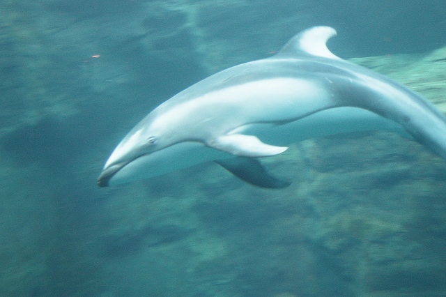 c0196588_23475540.jpg