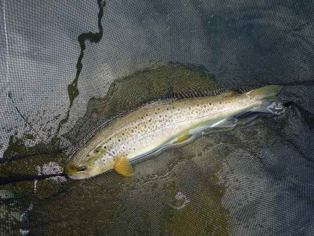 a0118989_2303932.jpg