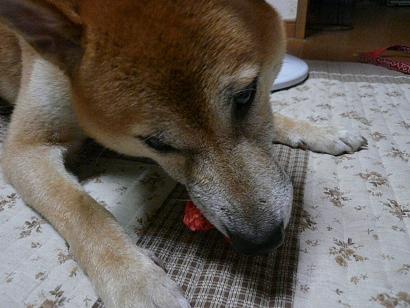 c0123890_20105426.jpg