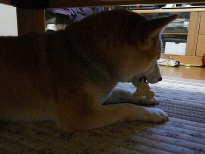 c0123890_20115432.jpg