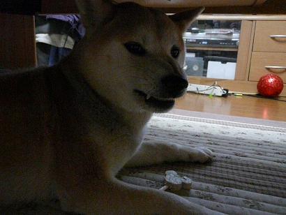 c0123890_2012173.jpg
