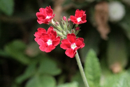 d0133693_528513.jpg