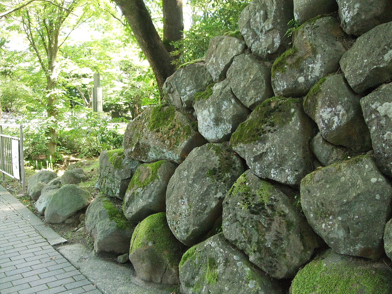 f0100593_13435839.jpg
