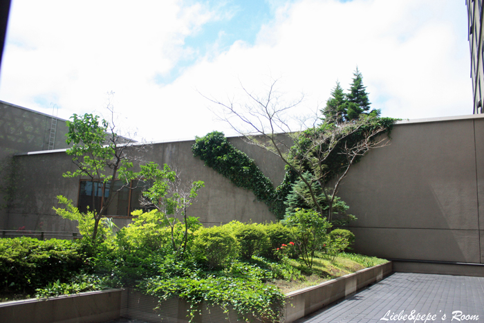 f0001895_19434697.jpg