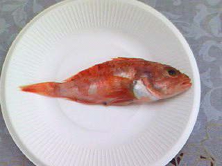 f0008597_200890.jpg
