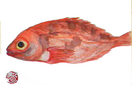 f0008597_2014922.jpg