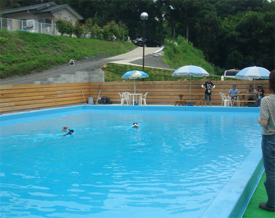 c0094999_18205649.jpg