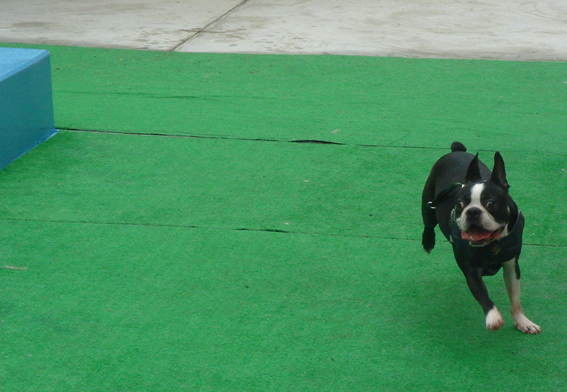 c0094999_19222861.jpg