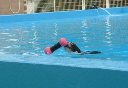 c0094999_19312868.jpg