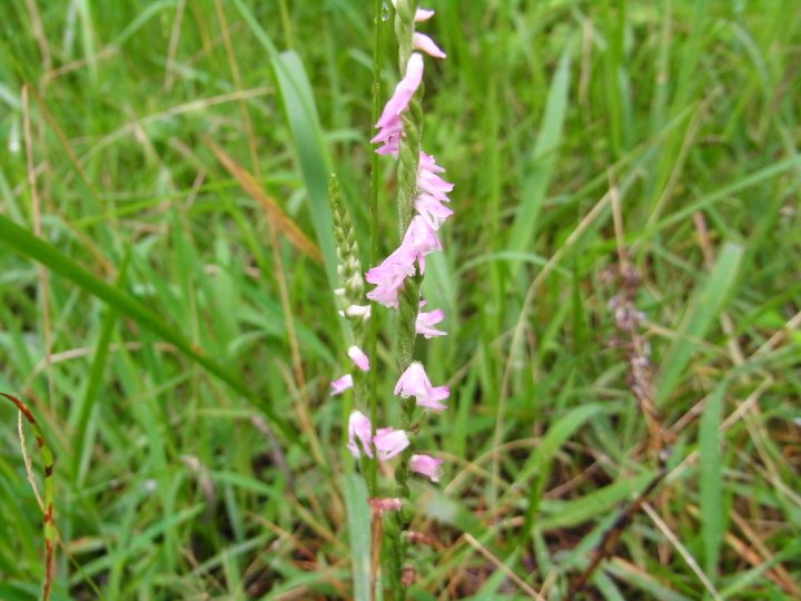 f0187402_20131419.jpg